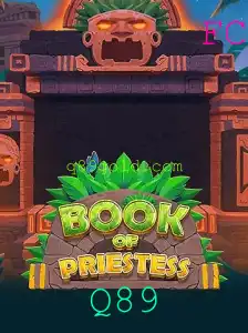 BookOfPriestess: Descubra o Universo de Aventuras do Jogo